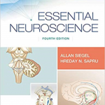 Essential Neuroscience 4E             Pb