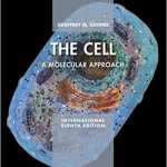 The Cell: A Molecular Approach 8th international