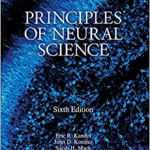 Principles of Neural Science 6th Edition