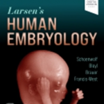 Larsens Human Embryology