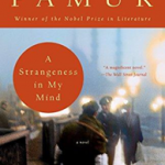 A Strangeness in My Mind: A novel (Vintage International)