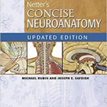 Netter's Concise Neuroanatomy Updated Edition