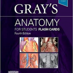 Gray's Anatomy for Students Flash Cards