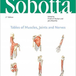 Sobotta Tables of Muscles, Joints and Nerves, English/Latin