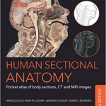 Human Sectional Anatomy