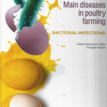Main diseases in poultry farming. Bacterial infections