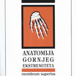 Anatomija gornjeg ekstremiteta : [membrum superius]