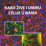 Kako žive i umiru ćelije u nama