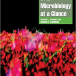 Oral Microbiology at a Glance
