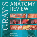 Gray's Anatomy Review