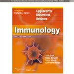 LIR : IMMUNOLOGY 2E (INT ED)          PB
