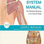 The Muscular System Manual