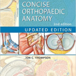 Netter's Concise Orthopaedic Anatomy, Updated Edition