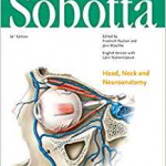 Sobotta Atlas of Anatomy, Vol. 3, 16th ed., English/Latin