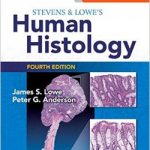Stevens & Lowe's Human Histology, 4 Ed