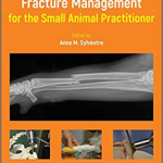 Fracture Management For The Sap