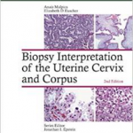 Biopsy Interp Uterine Cervix Corp 2E  Cb