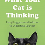 What Your Cat Is Thinking