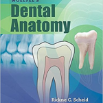 Woelfels Dental Anatomy, 9 Ed