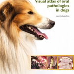 Visual atlas of oral pathologies in dogs.