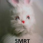 Smrt zeke Manroa