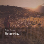 Bruceloza