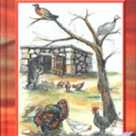 Higijena I Bioekologija U Peradarstvu