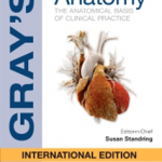 Gray's Anatomy 42th International Edition