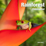 Rainforest: Endangered