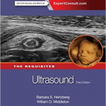 Ultrasound: The Requisites