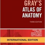 Gray's Atlas of Anatomy International Edition