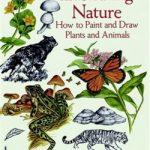 Illustrating Nature : How to Paint and Draw Plants and Animals