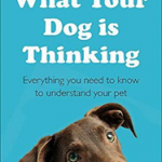 WHAT YOUR DOG IS THINKING