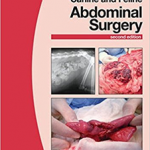 BSAVA Manual of Canine and Feline Abdominal Surgery, 2 Ed
