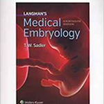 Langman Med Embryology 14E (Int Ed)   Pb