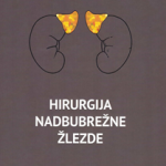 Hirurgija nadbubrežne žlezde