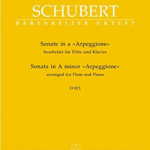 Sonate a-Moll D821-000684 ZM22630