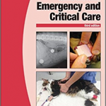 BSAVA Emergency and Critical Care 3e