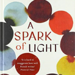 A Spark of Light