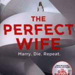 The Perfect Wife