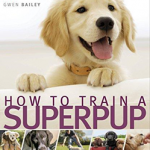 How to Train a Superpup : Unleash your puppy's potential