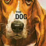 How it Works: The Dog