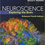 Nvpm Neuroscience 4E Exploring The Brd