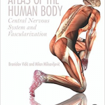 Atlas of the Human Body