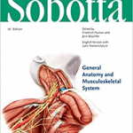 Sobotta Atlas of Anatomy, Vol.1, 16th ed., English/Latin