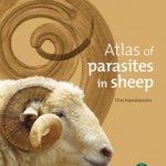 Atlas of parasites in sheep