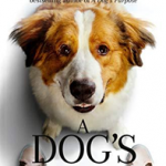 A Dog's Journey