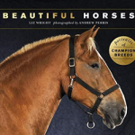 Beautiful Horses : Portraits of champion breeds