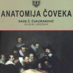 Anatomija čoveka