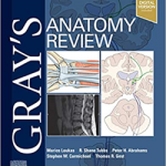 Grays Anatomy Review